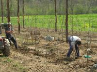 Agricoltura Biologica L'Ostal 